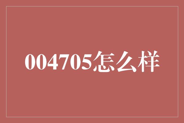 004705怎么样