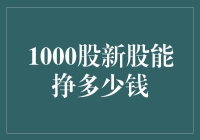 1000股新股投资回报分析：潜力与风险并存