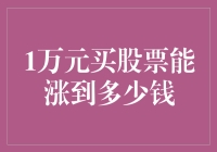 1万元投资股票：从初学者到百万富翁的励志故事