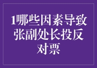 张副处长的反对票：一场智力与胆识的较量