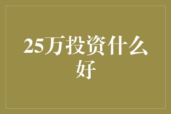 25万投资什么好