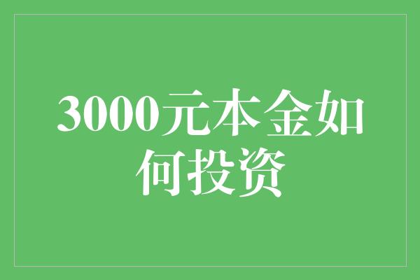 3000元本金如何投资