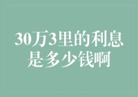 30万3里利息揭秘：探寻利息背后的秘密