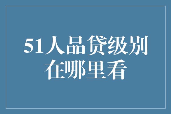 51人品贷级别在哪里看