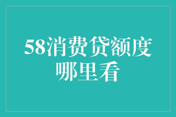 58消费贷额度哪里看