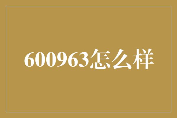 600963怎么样