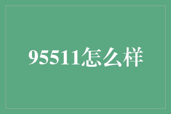 95511怎么样