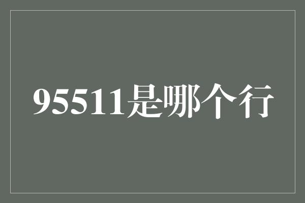 95511是哪个行