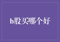 B股市场投资指南：寻找成长的航向