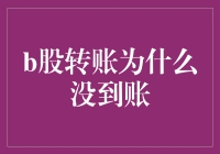 B股转账未到账：隐藏的细节与解决方案