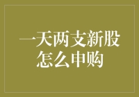 一天两支新股申购攻略：如何高效布局资本市场