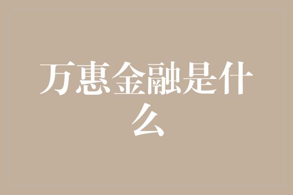 万惠金融是什么