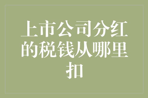 上市公司分红的税钱从哪里扣