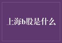 上海B股市场的现状与未来发展