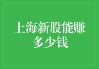 上海新股上市盈利预测与投资策略分析