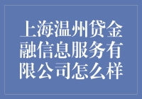 上海温州贷金融信息服务有限公司：一场温州人的金融狂欢