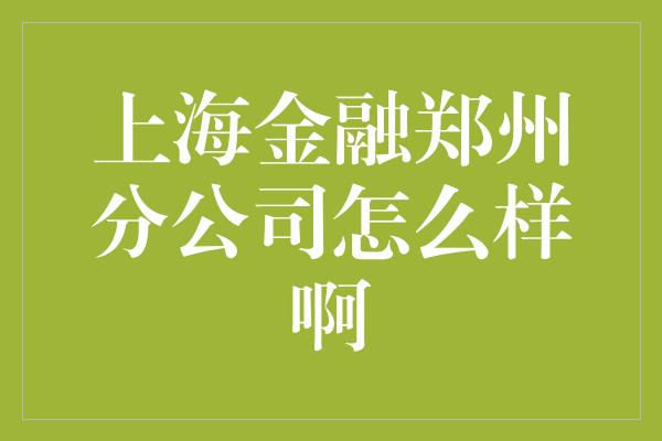 上海金融郑州分公司怎么样啊