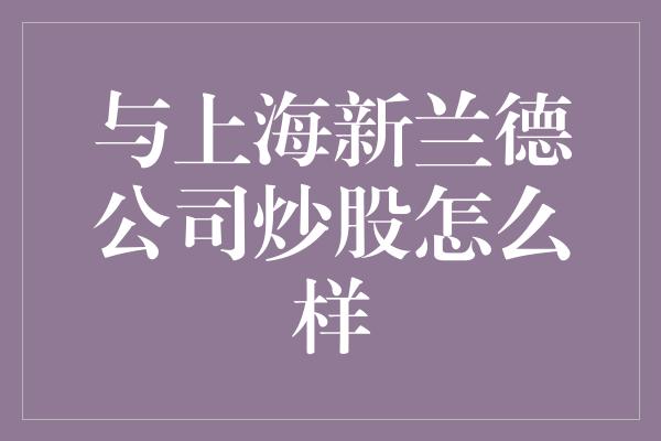 与上海新兰德公司炒股怎么样