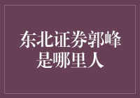 郭峰：东北证券的金融智者，带着东北的豪情南下