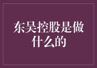 东吴控股：打造全方位金融解决方案的先锋企业