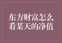 如何利用东方财富网查看某一天的净值：精准洞察你的投资组合