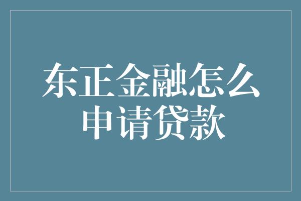 东正金融怎么申请贷款