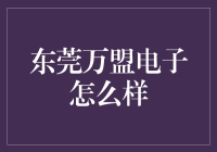 东莞万盟电子：一个电子界的奇才和他的神奇工厂