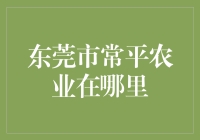 探秘东莞市常平农业：传统与现代的交融之地