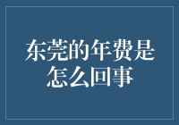 东莞的年费到底怎么回事？一起来揭秘！