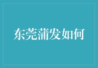 东莞蒲发：创新与可持续发展并行的独特城市经济模式