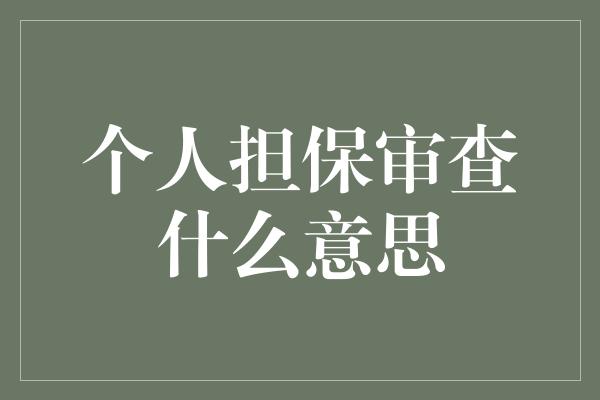 个人担保审查什么意思