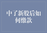 中签新股后的缴款攻略：轻松完成步骤解析