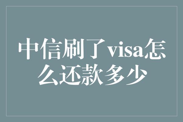 中信刷了visa怎么还款多少