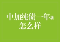 中加纯债一年A基金：稳健投资者的明智选择