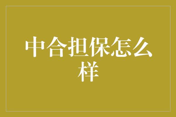 中合担保怎么样