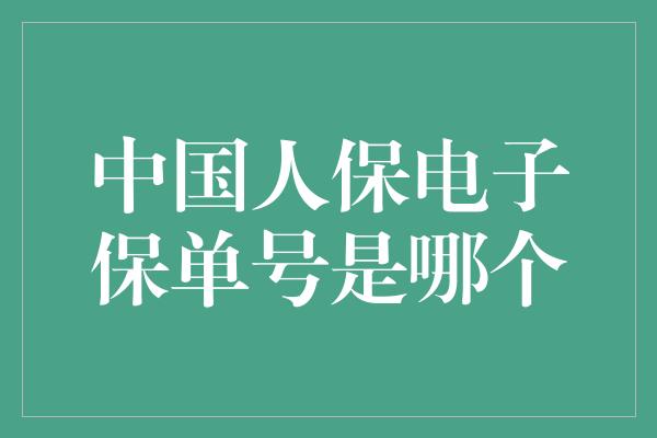 中国人保电子保单号是哪个