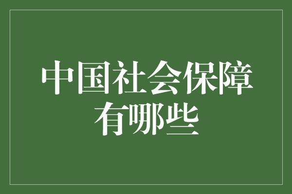 中国社会保障有哪些