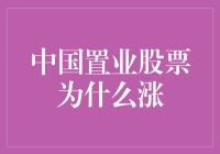 中国置业股票为何如此抢眼？本文为您揭秘！