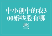 一场前所未有的浪漫：中小创中的农300婚些股有哪些？