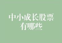 中小成长股票的选择与投资策略：2024年的指南