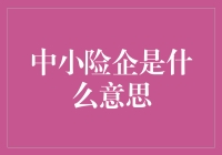 什么是中小险企？——揭秘迷你保险公司的生存之道