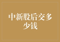 中新股后需缴纳的费用及其影响因素解析