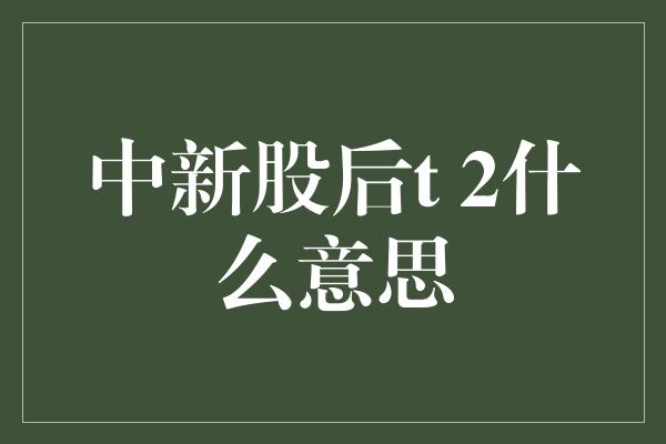 中新股后t 2什么意思