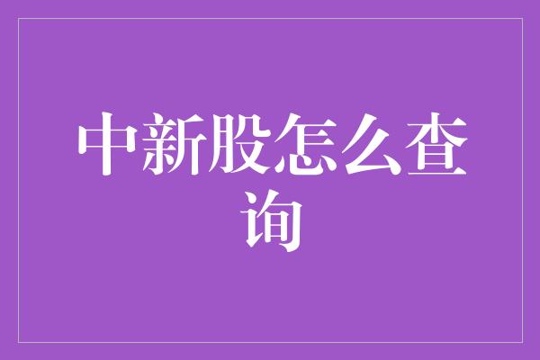 中新股怎么查询