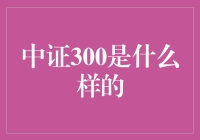 中证300：中国经济的一扇窗