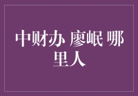 中财办廖岷——来自何方？