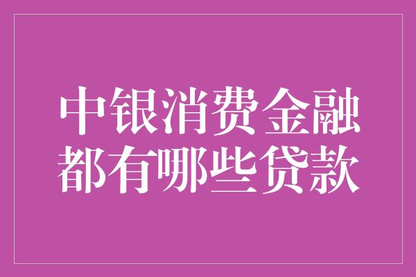 中银消费金融都有哪些贷款