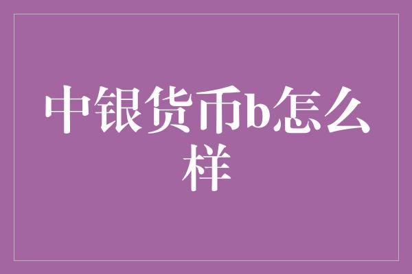 中银货币b怎么样