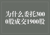 为什么委托3000股成交1900股？股市里的神秘力量与我的奇幻冒险