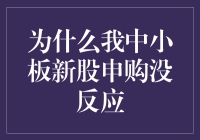 探究中小板新股申购未响应的原因：全面解析与对策